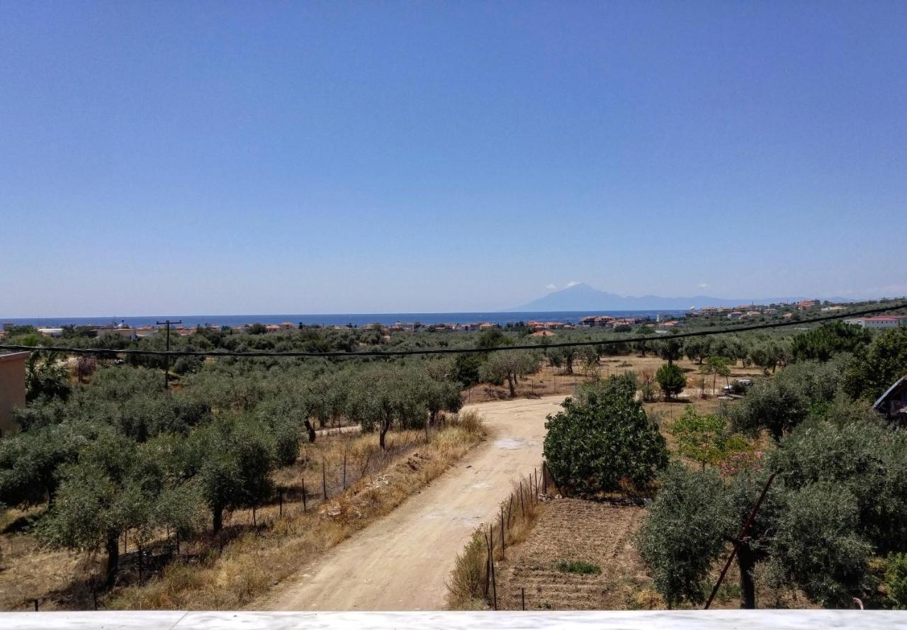 利迈纳里亚Olive Grove House公寓 外观 照片