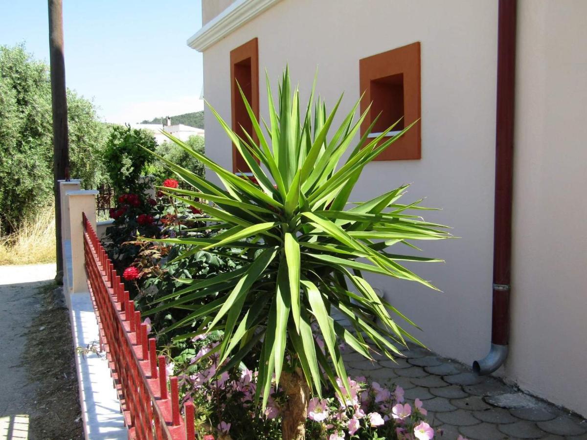 利迈纳里亚Olive Grove House公寓 外观 照片