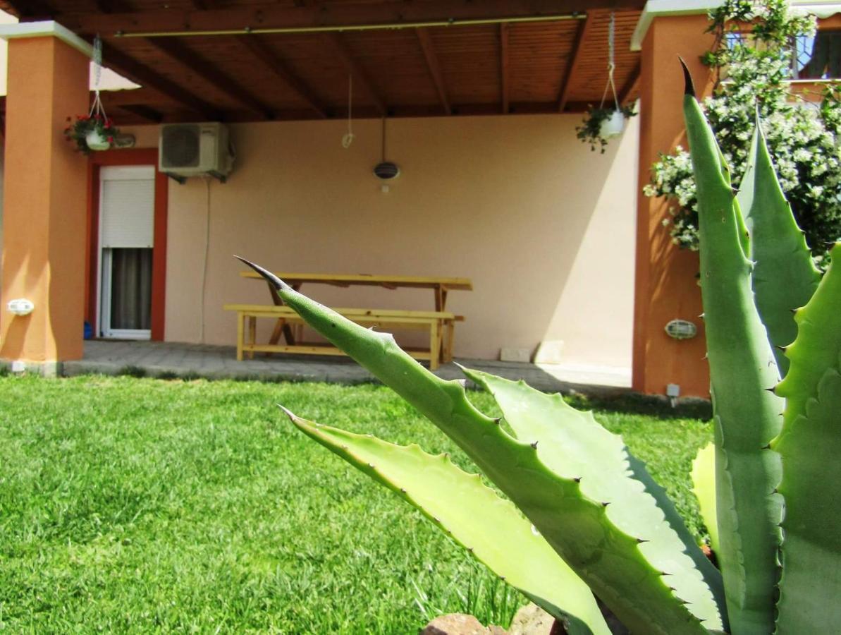 利迈纳里亚Olive Grove House公寓 外观 照片